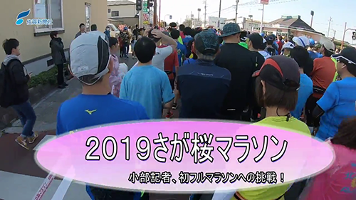 2019大会フルマラソンコース動画
